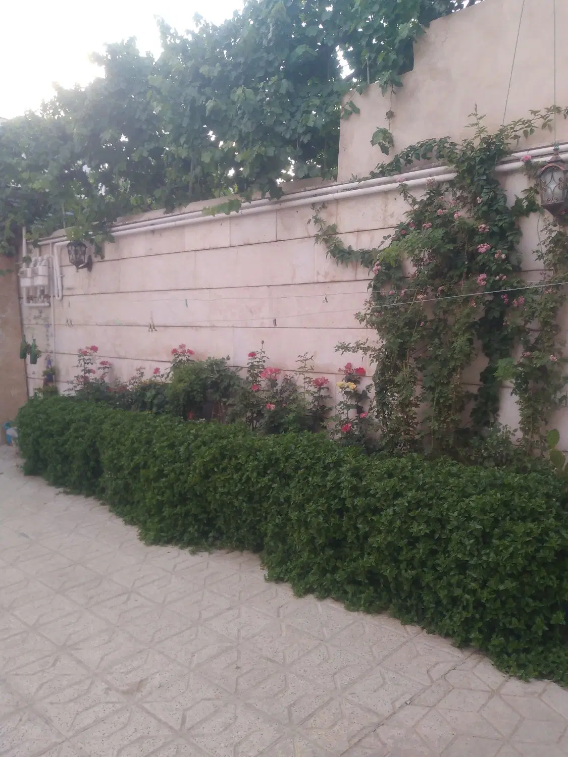 ویلایی طبقه همکف مطهری شمالی ۱۷
