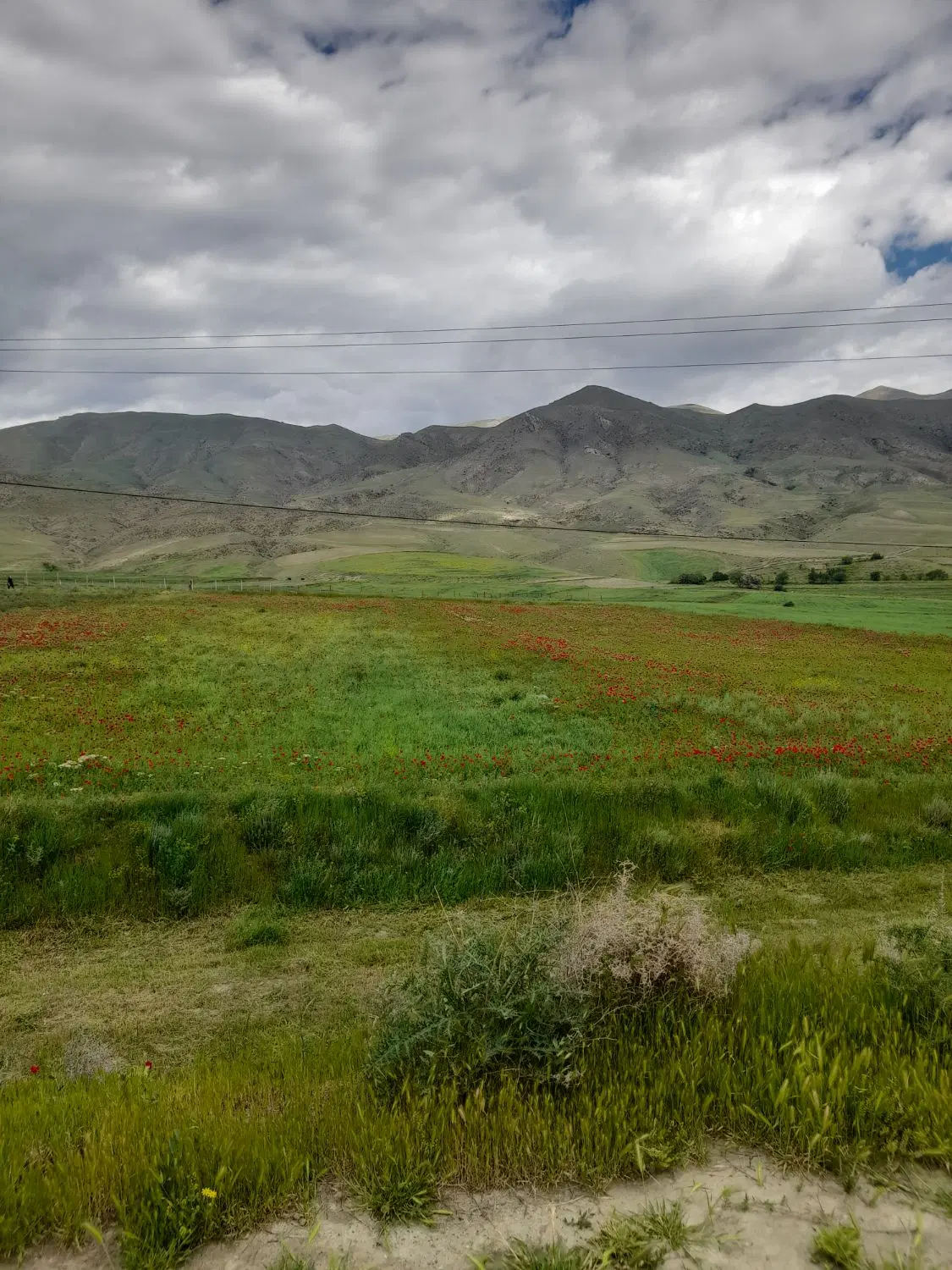 قطعه زمین ۱۱۰متری