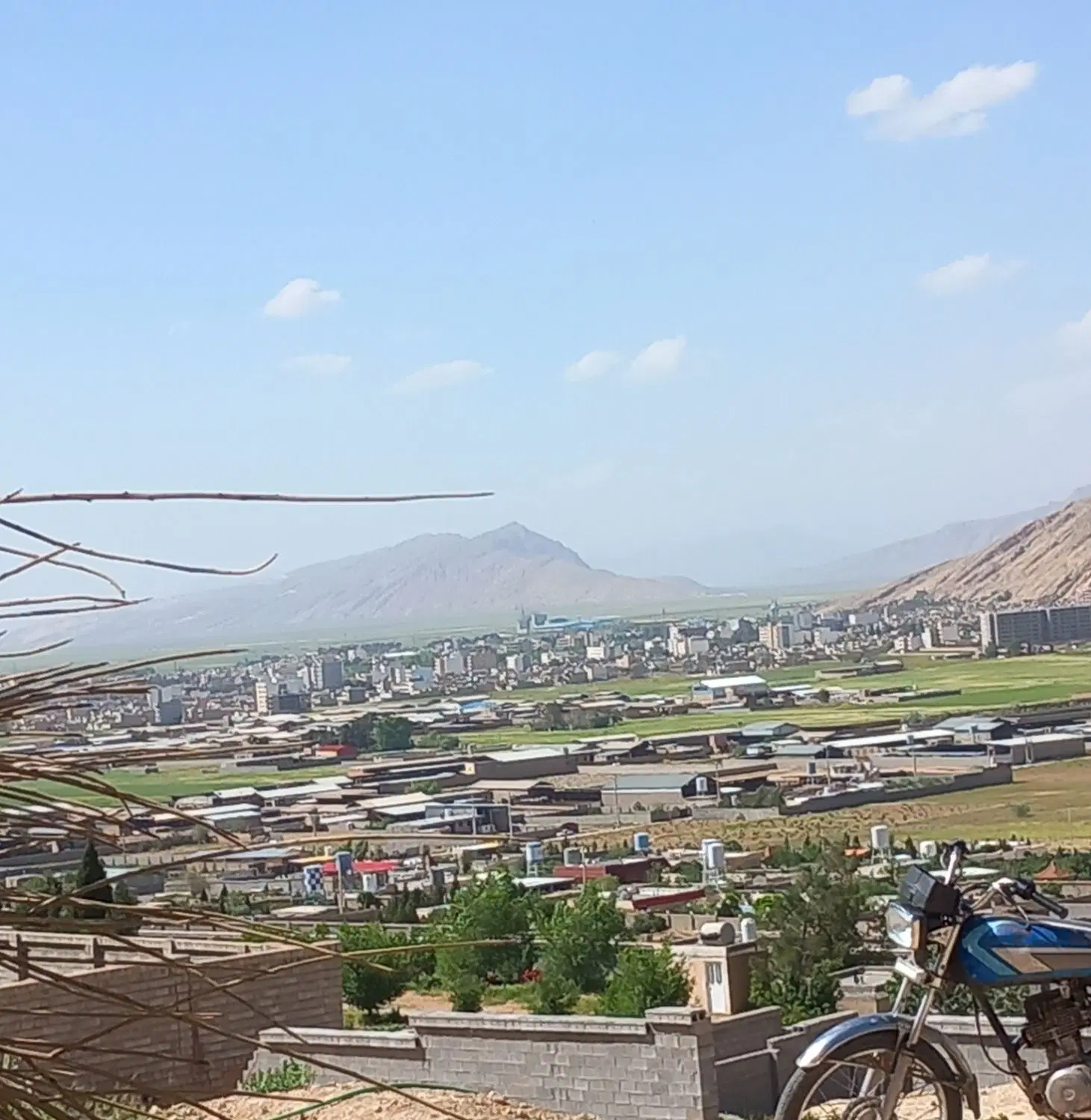 باغچه شهری