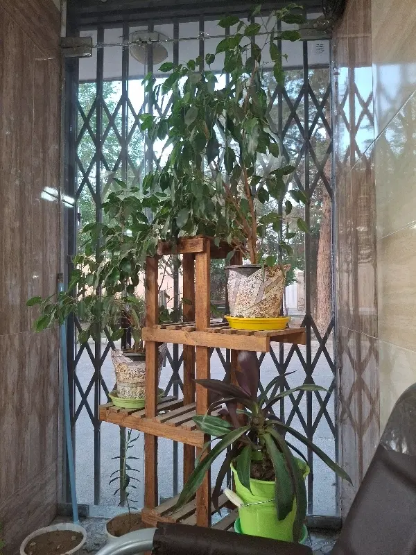 اجاره آپارتمان