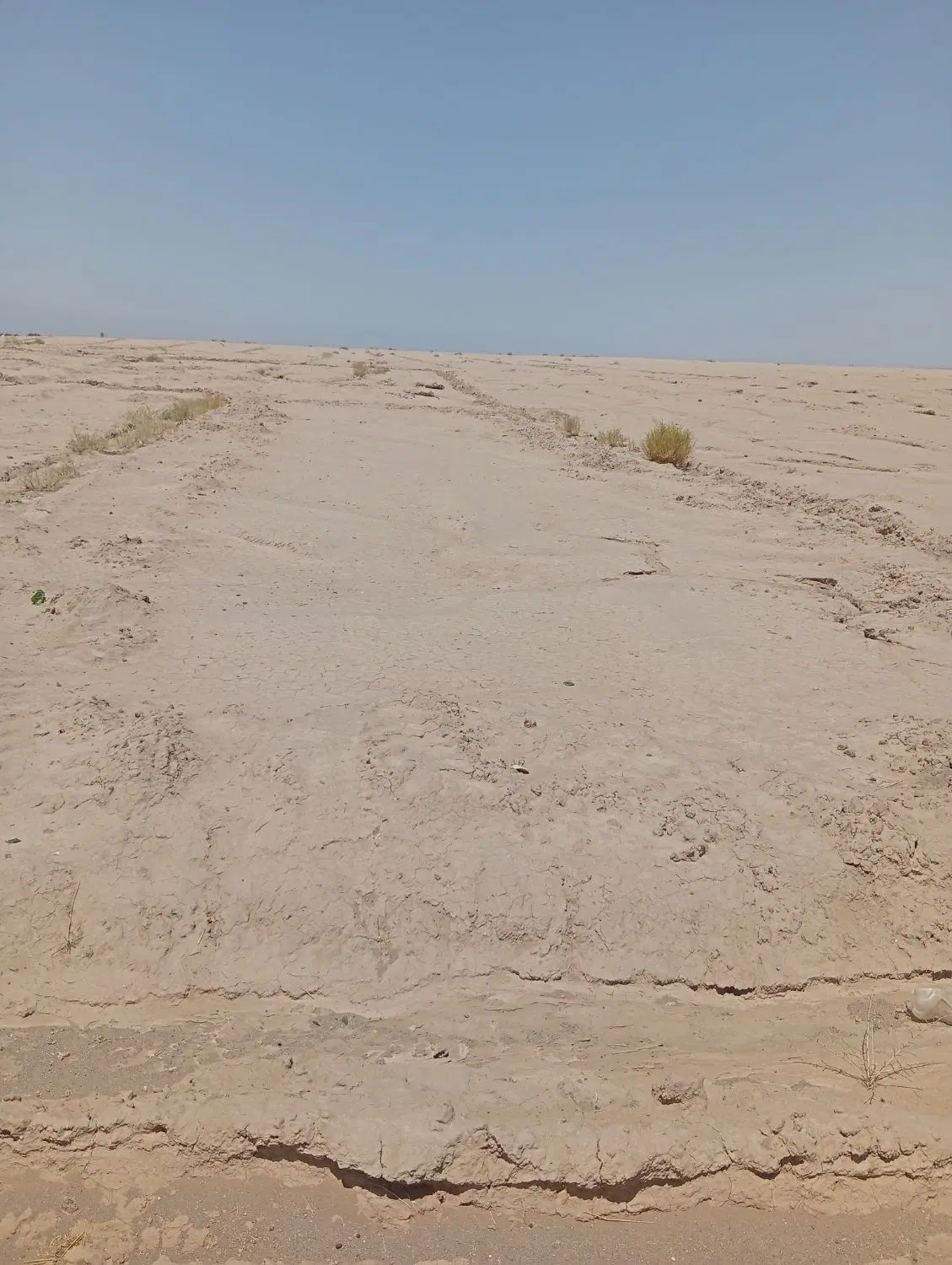 ۳۸۸مترزمین باغچمک