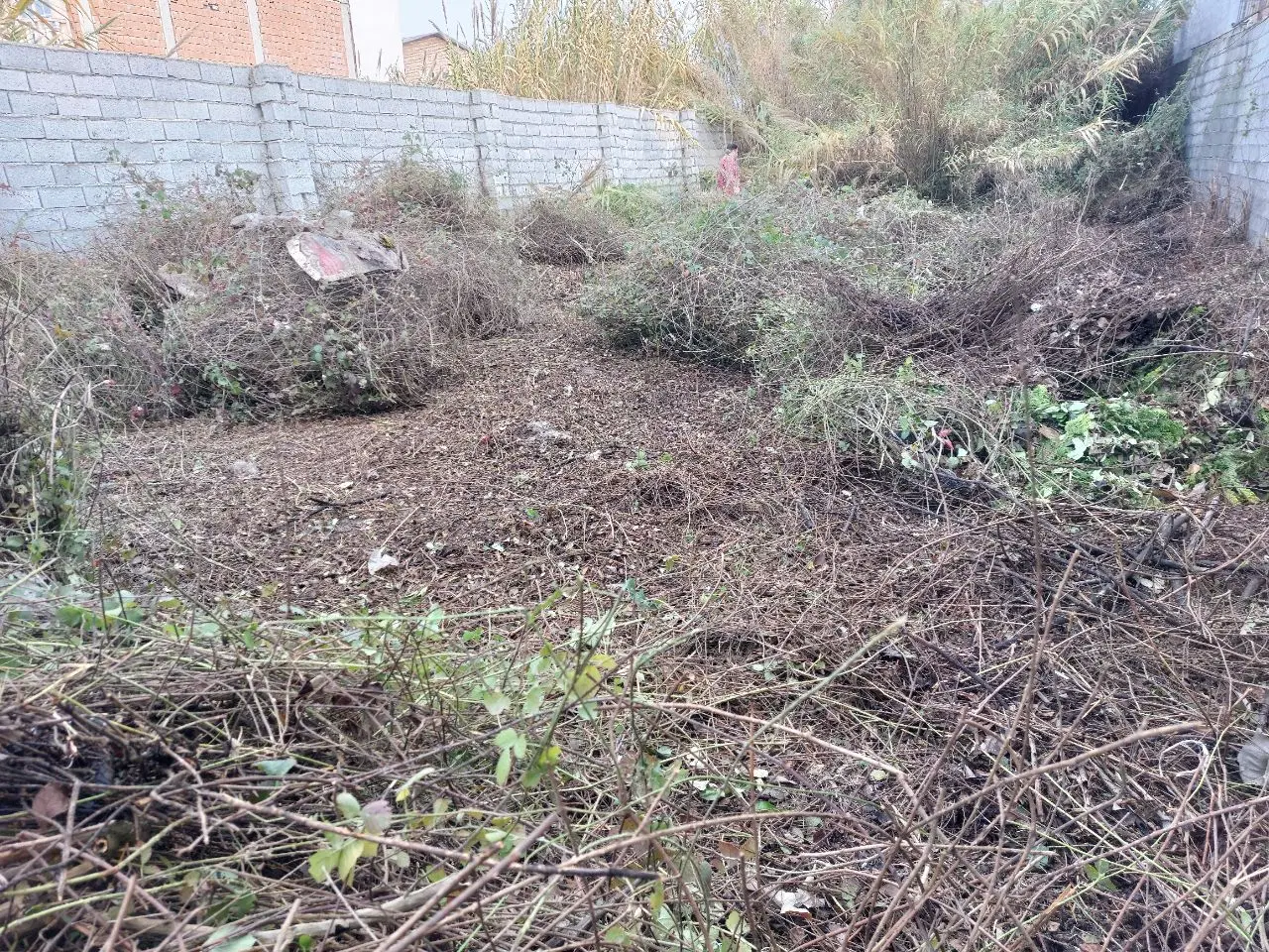 فروش زمین در  روستای علی آباد بابلسر