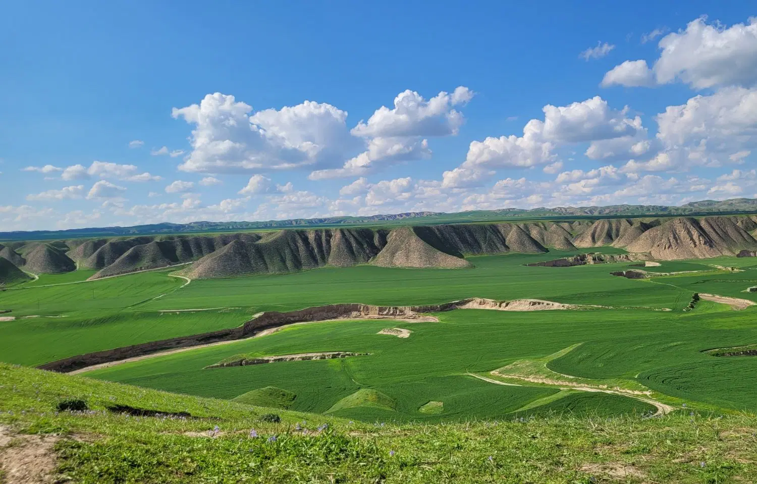 سرمایه گذاری کوتاه مدت
