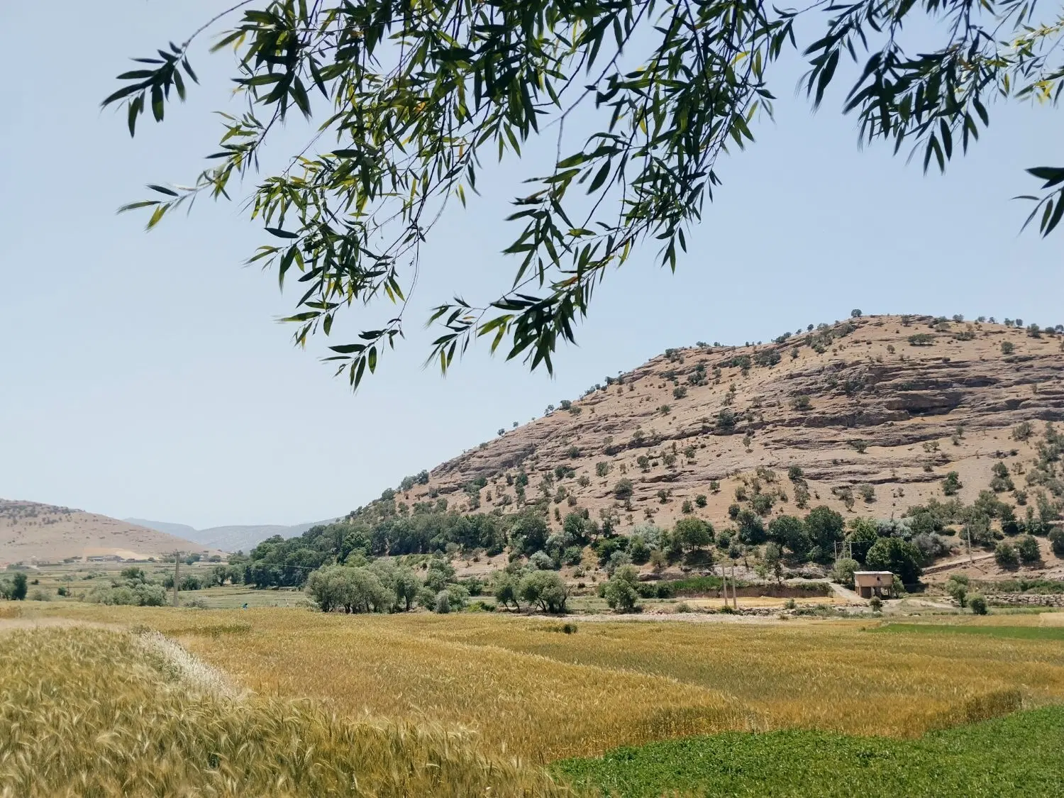 10جریب زمین