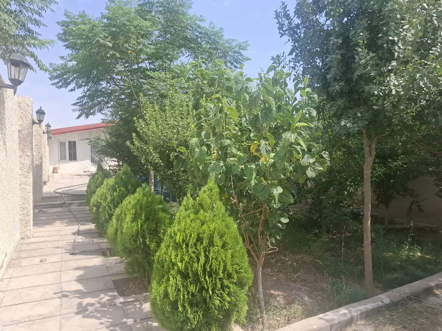 باغچه ۳۵۰