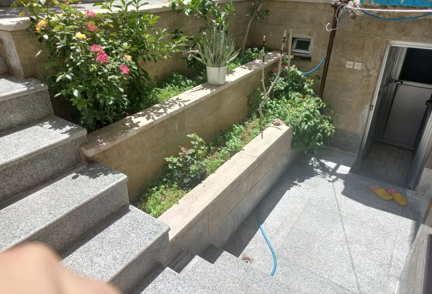 اجاره واحد ۱۳۵ متری در خیابان ۲۲ بهمن( مرکز شهر)