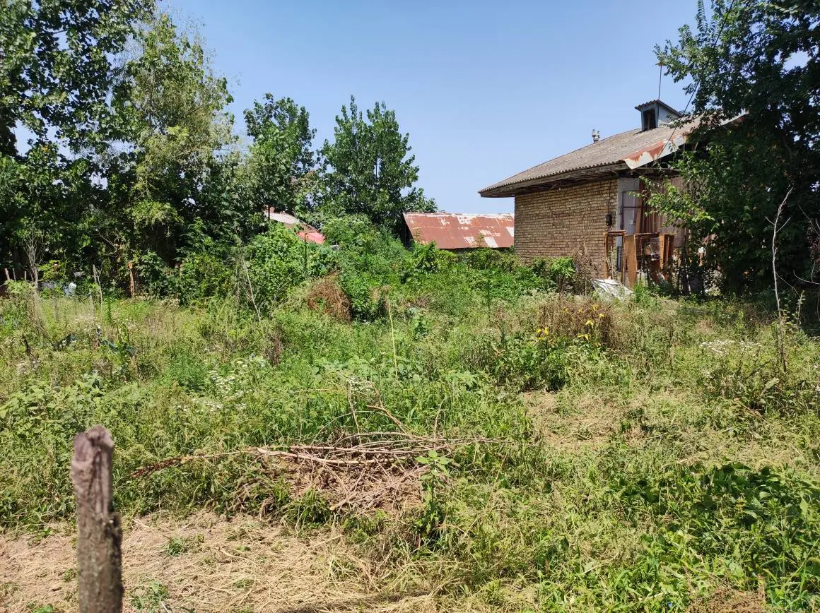 فروش زمین سند دار روستایی در گیلان