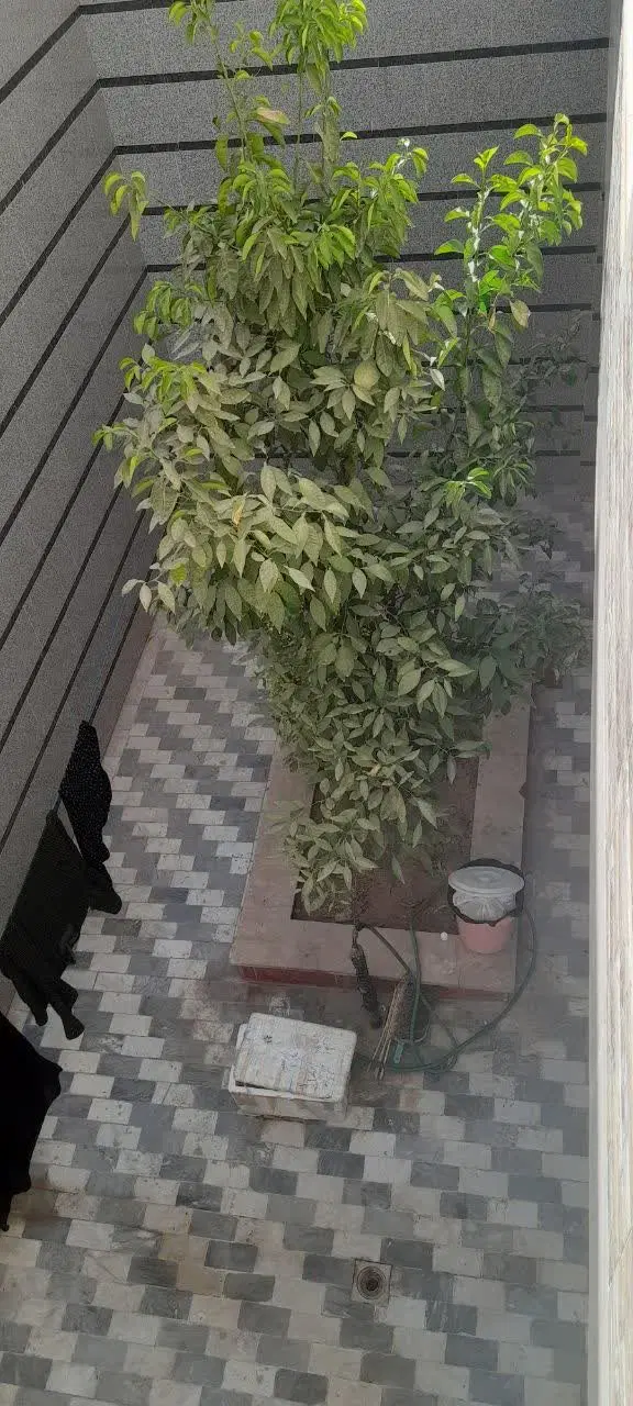 منزل اجاره ای