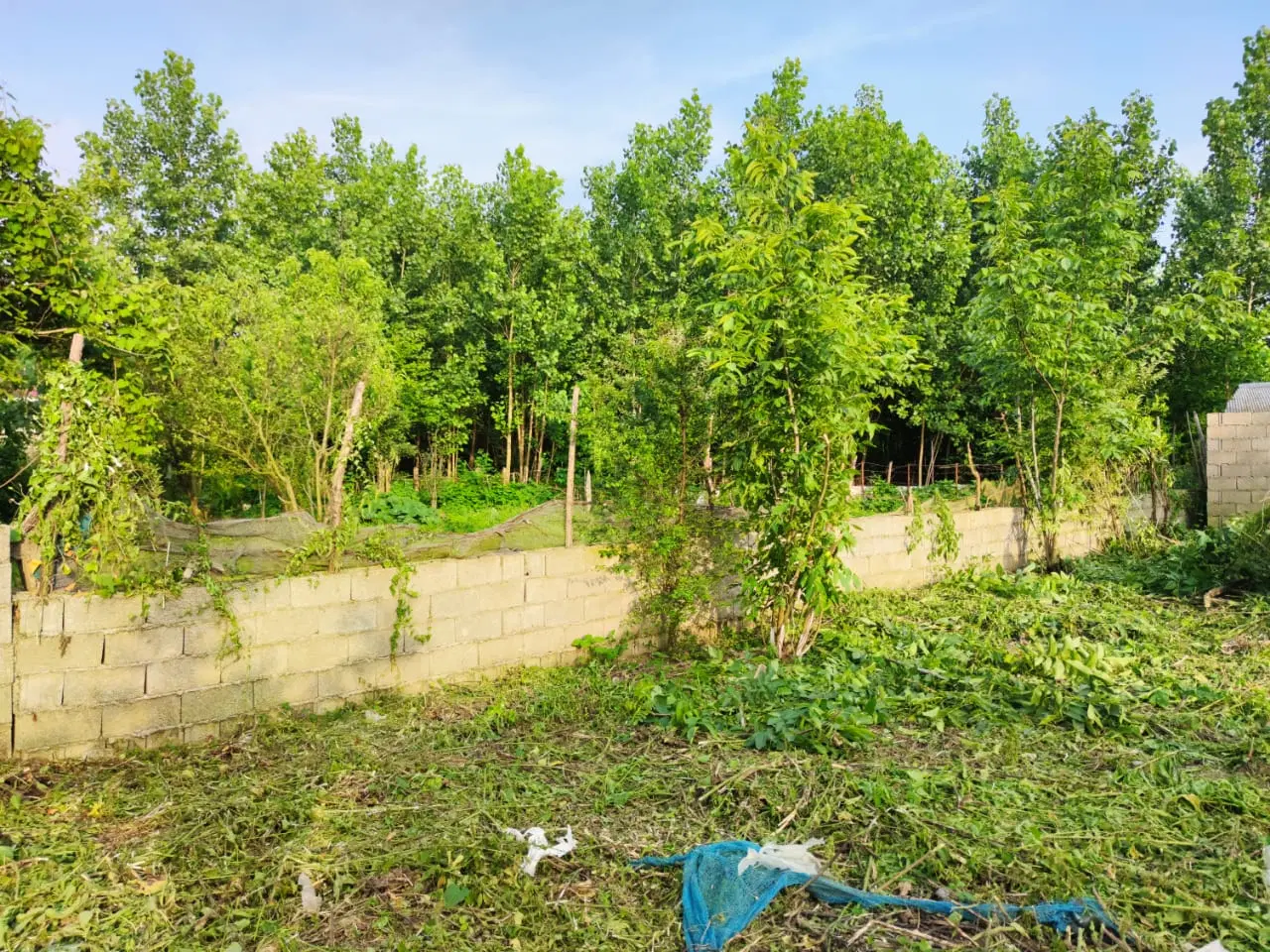 قطعه زمینی به متراژ ۵۶۰متر در شمال