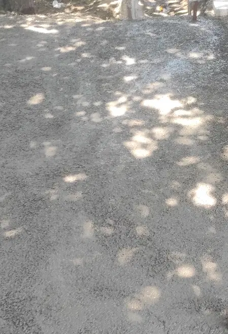 زمیین شاپسند ۶۵ متری