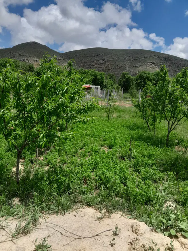 زمین در  کلاته باقرخان ۳
