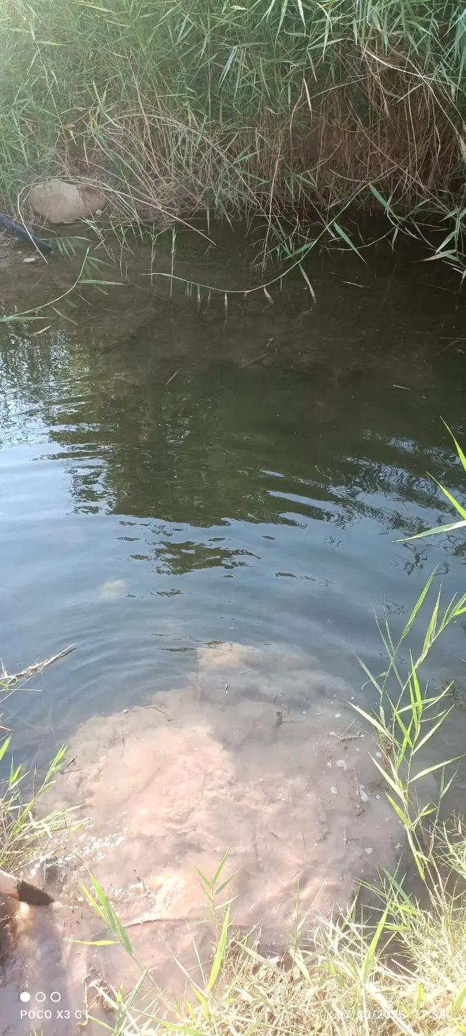 باغ میوه دارای کلبه
