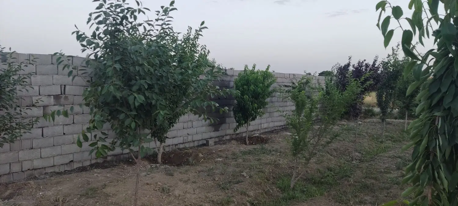 زمین باغی 1000متر