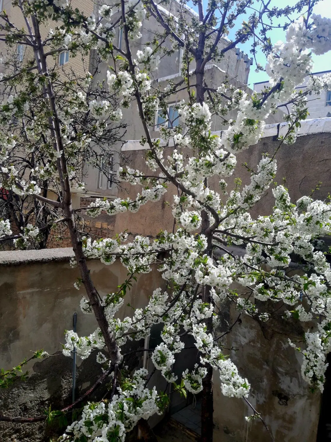 خانه ویلایی دو طبقه