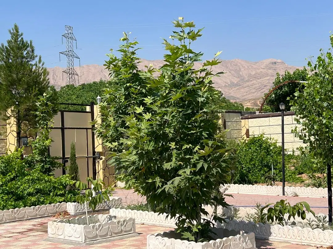 باغ ۲۰۰۰ متری گلستان شمالی