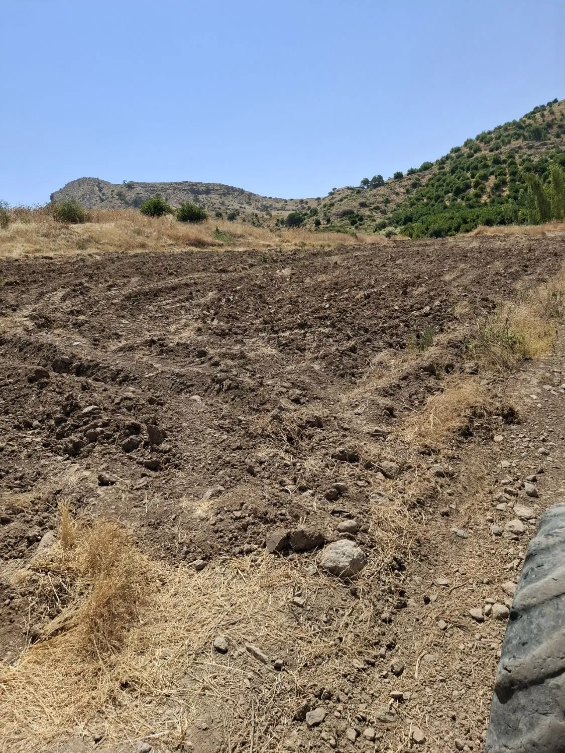 اجاره زمین کشاورزی