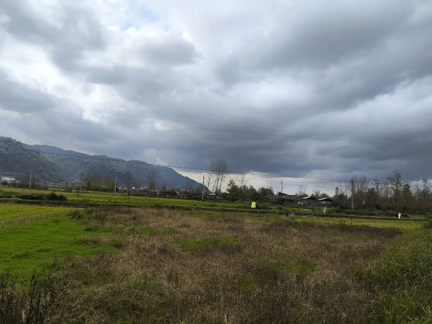زمین باغی