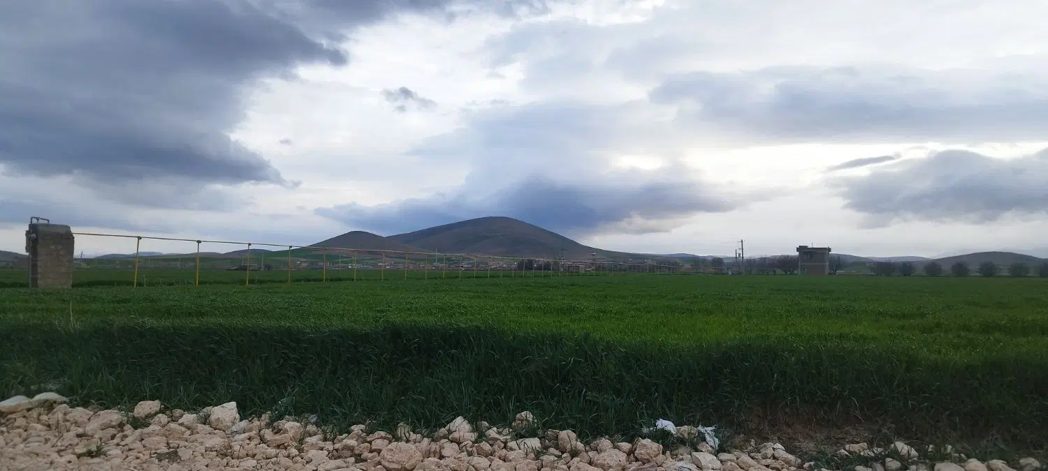 زمین های رسولی