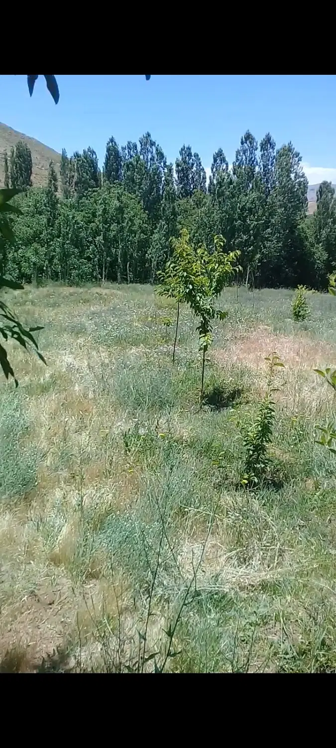 زمین کشاورزی