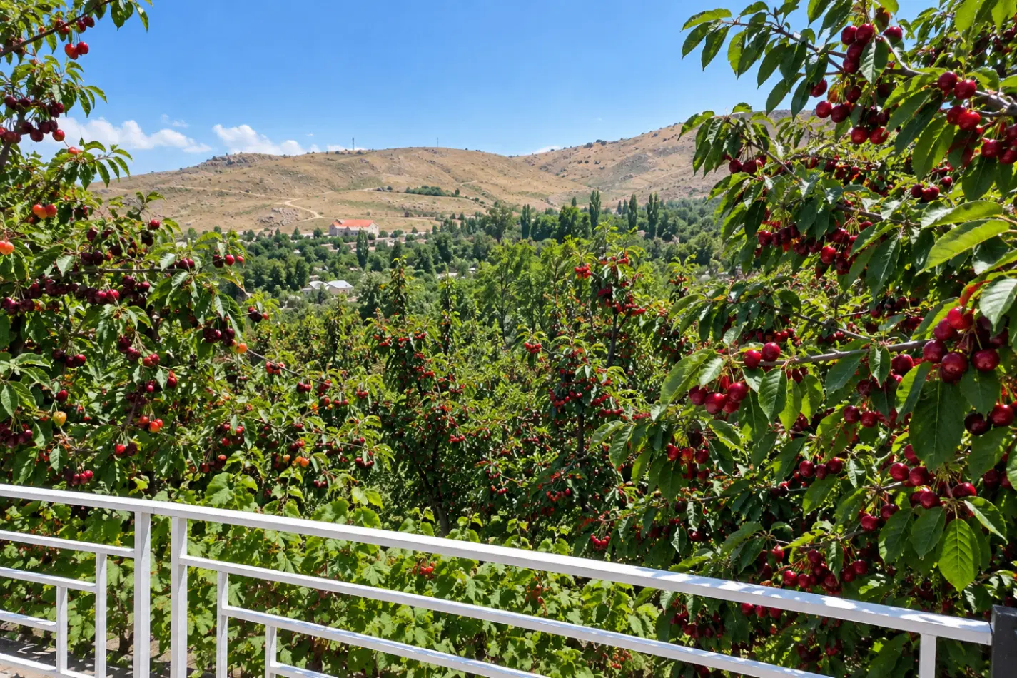 باغ دره مرادبیگ