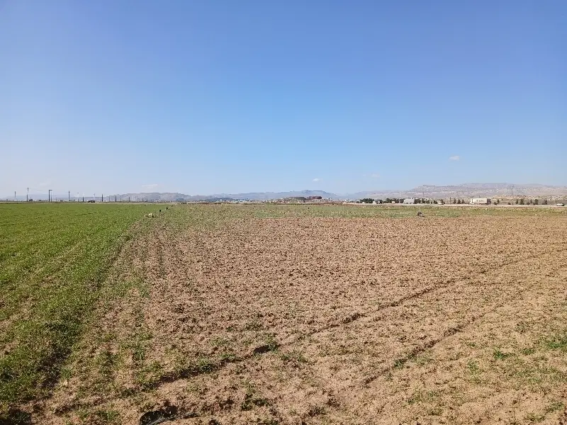 ۲هکتار کشاورزی سند دار برجاده فرودگاه