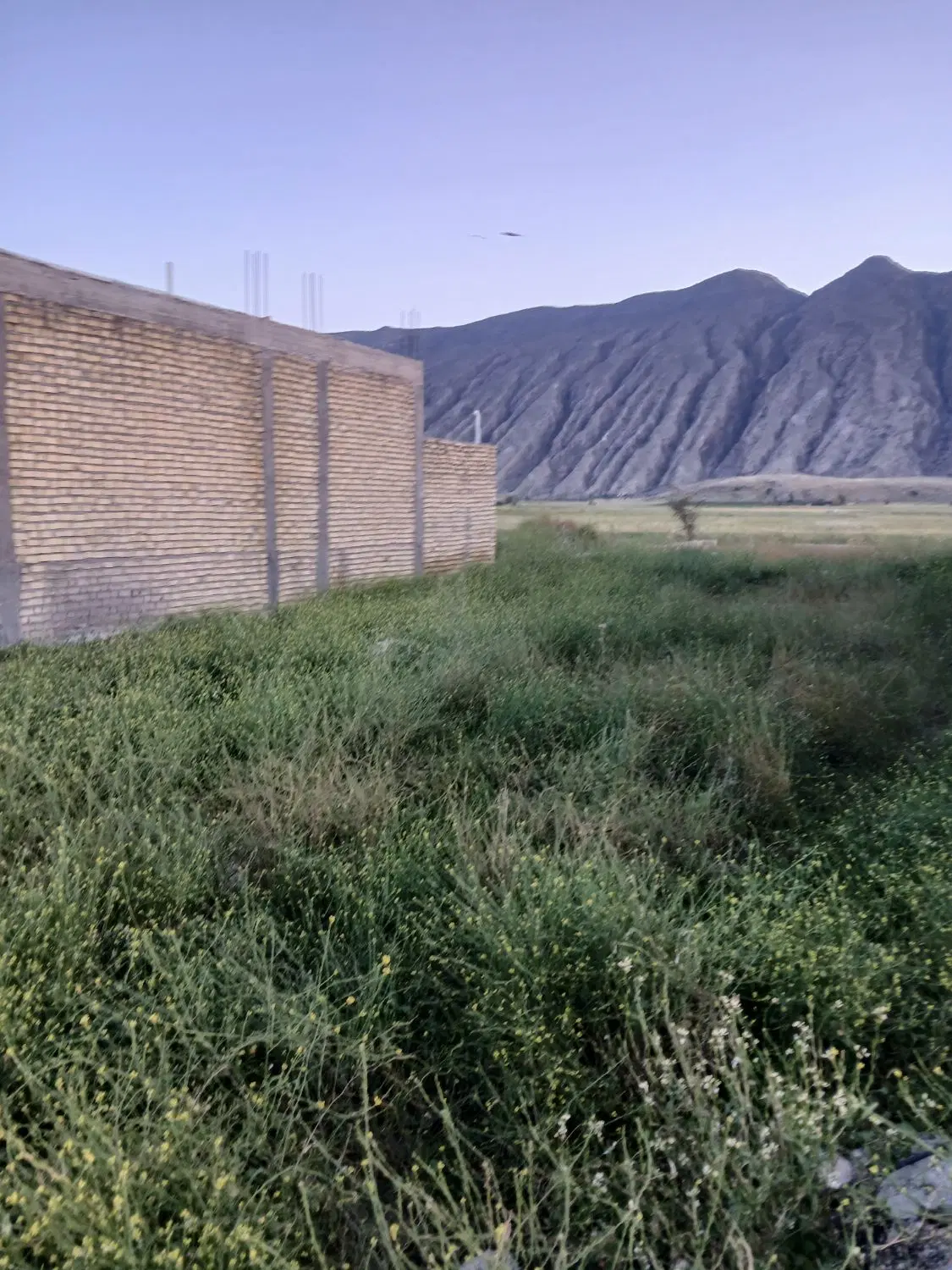 فروش،زمین مهرنجان