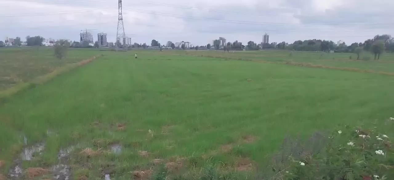 ۳۰۰۰متر زمین در امیرآباد ایزدشهر تهاتر با خودرو