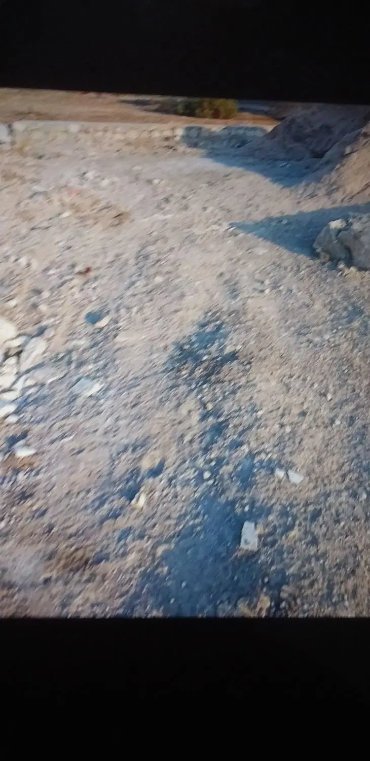 زمین ذوالفقاری