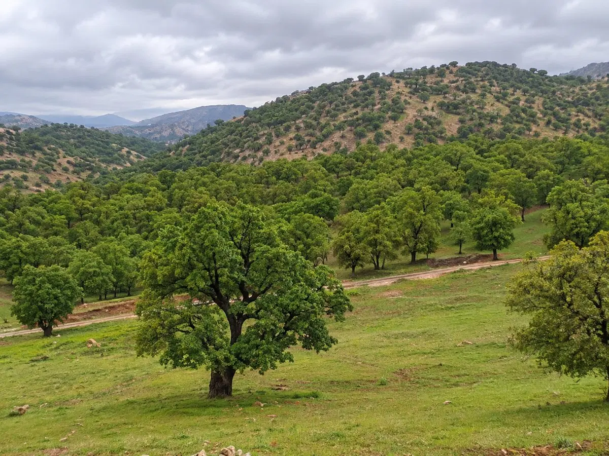 فروش زمین مناسب باغ شهری