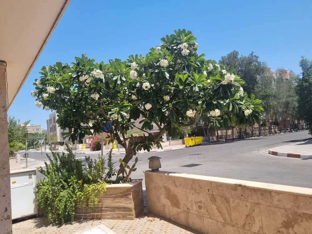 اجاره آپارتمان