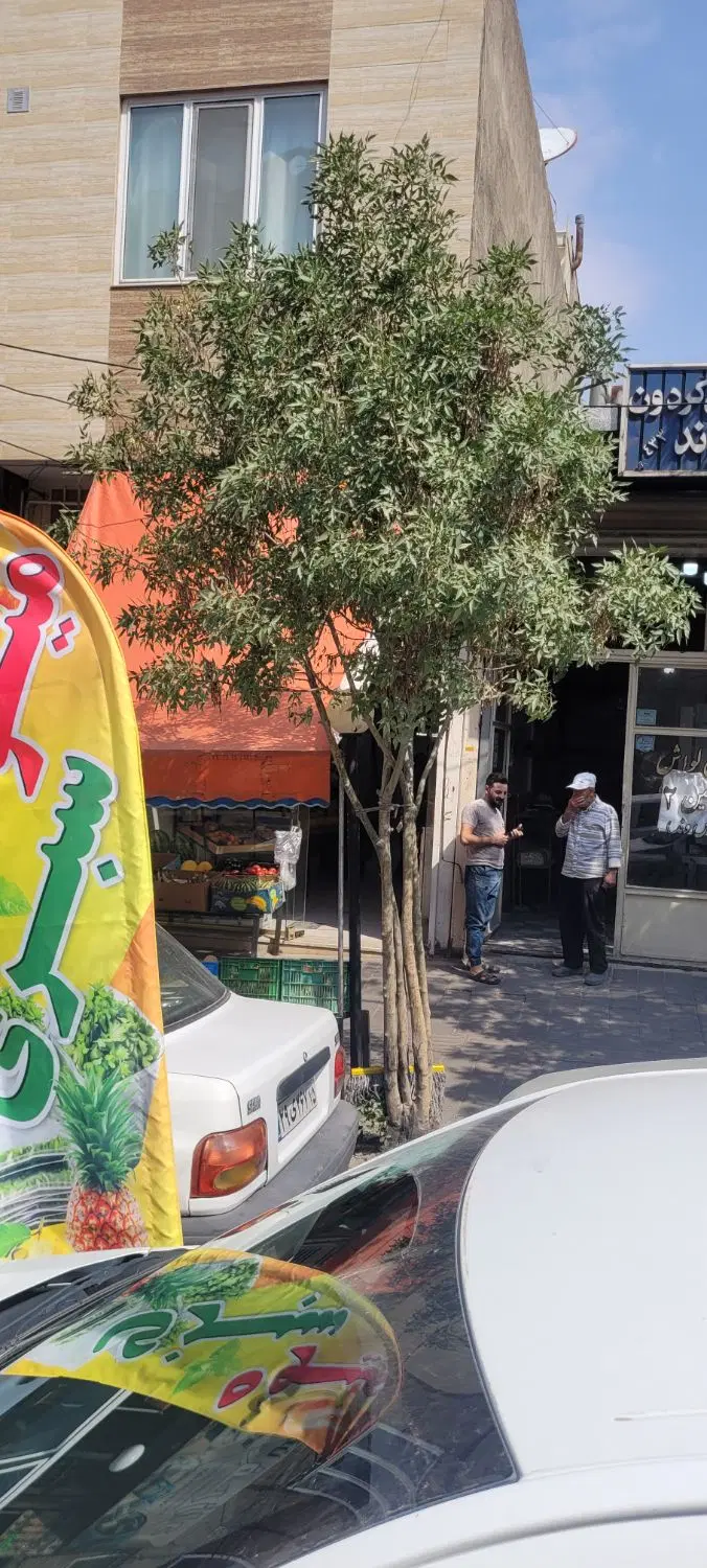 واگذاری یک باب مغازه میوه و سبزی