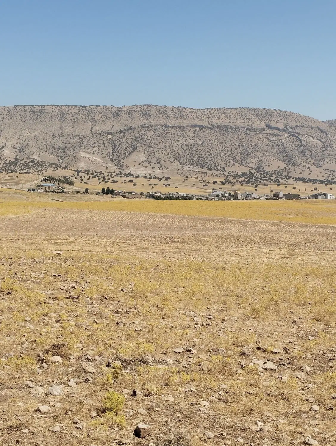 زمین کشاورزی
