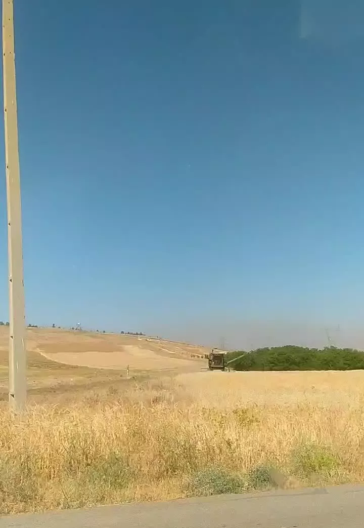 زمین کشاورزی