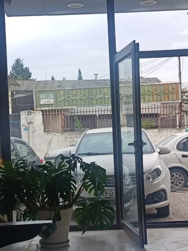 ۲۵۰متر زمین دونبش در طبرسو مالک هستم