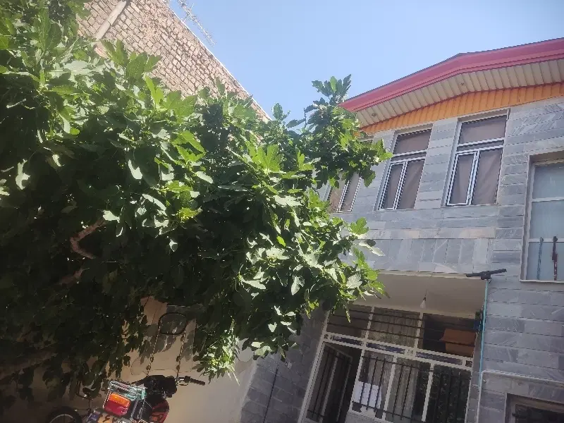 املاک واجاره