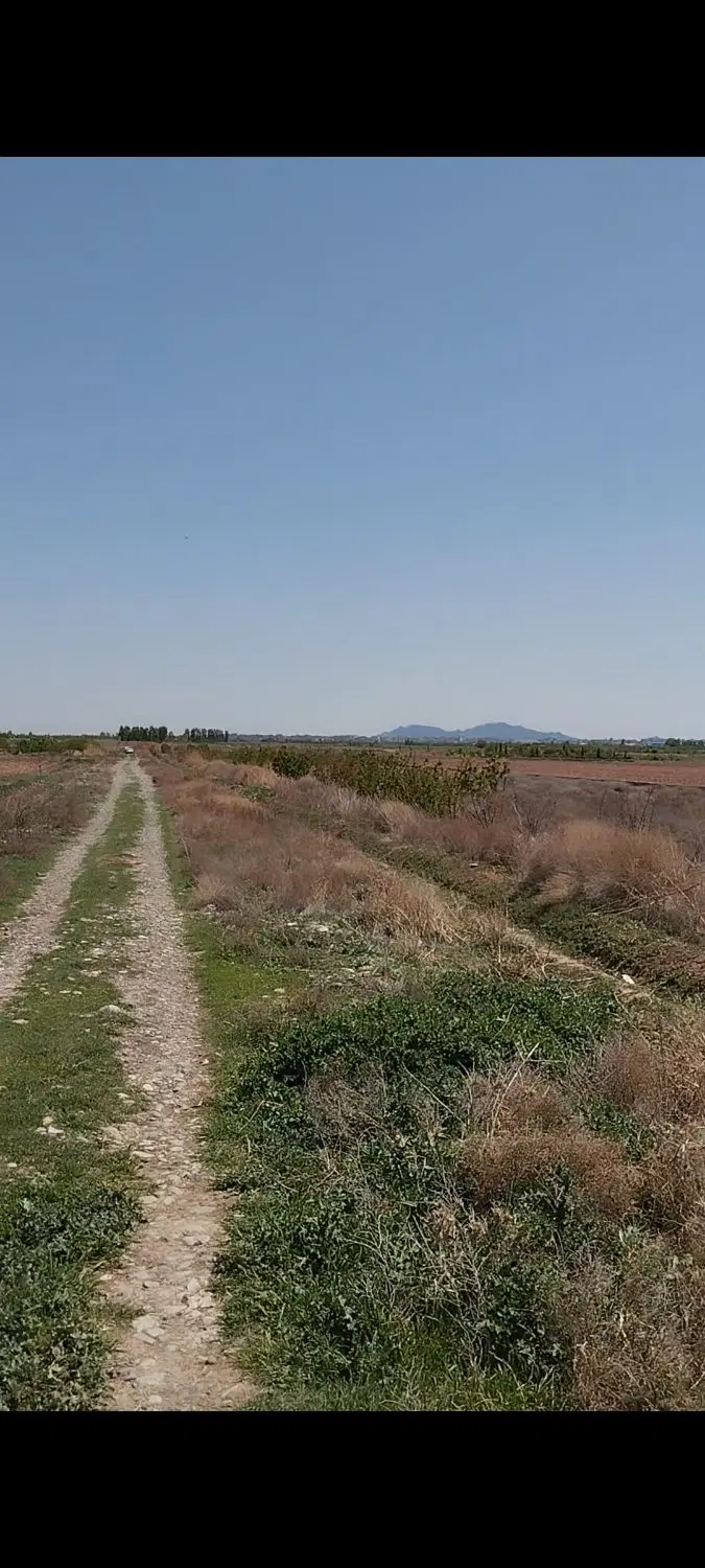 ۵۰۰متری پشک۳ماهدشت بینه شریعت