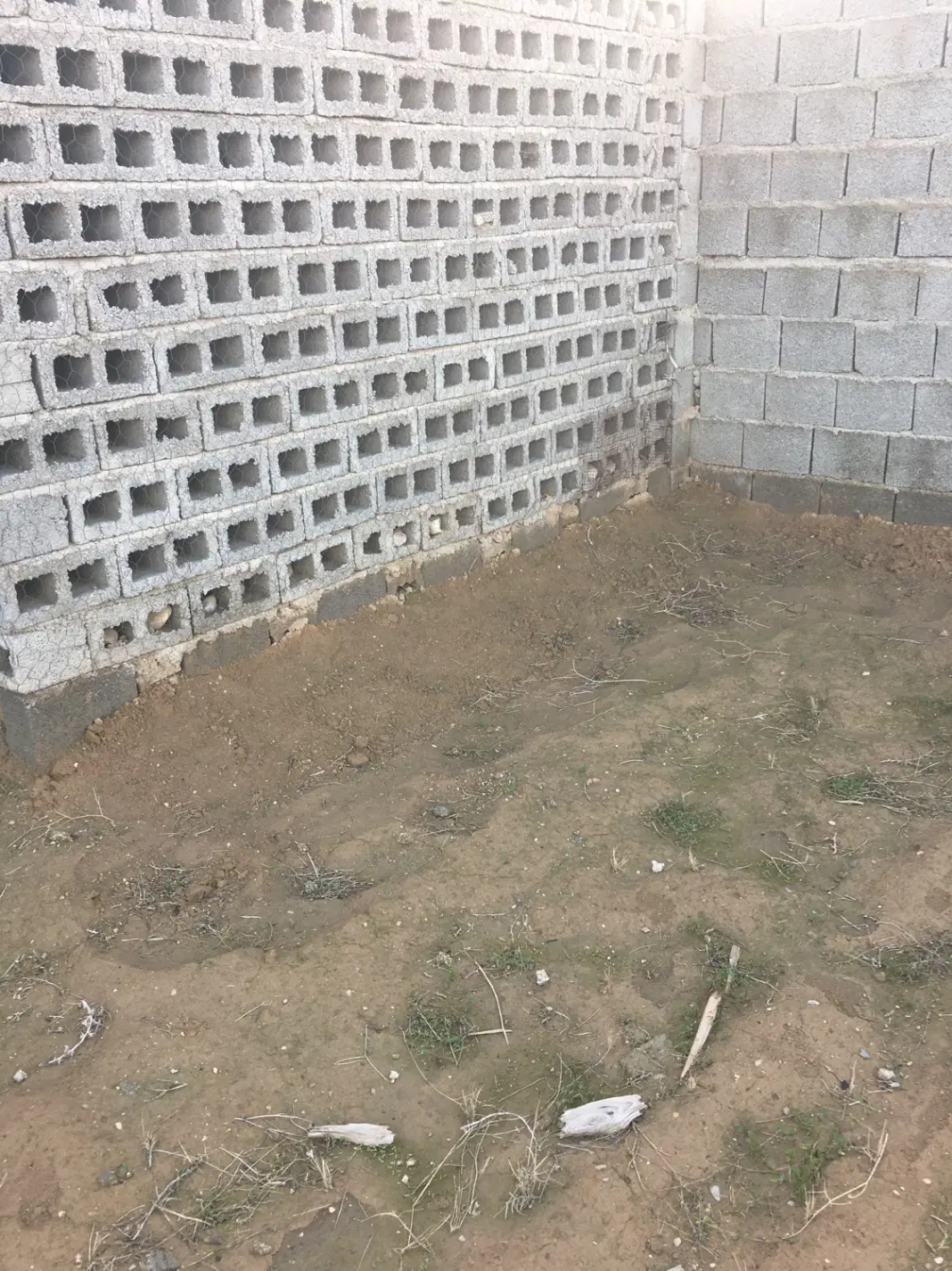 زمین باغی ،شالوده اساسی و دیوارکشی شده کامل