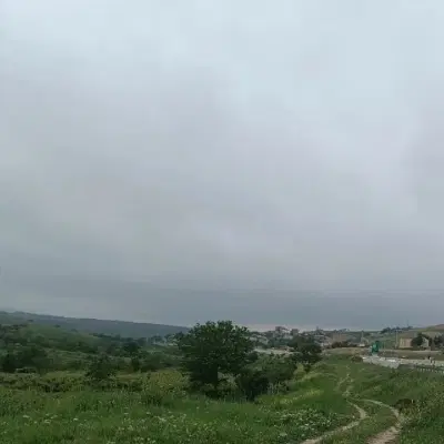 باغ انگور 1300 متری روبروی روستای تاتار