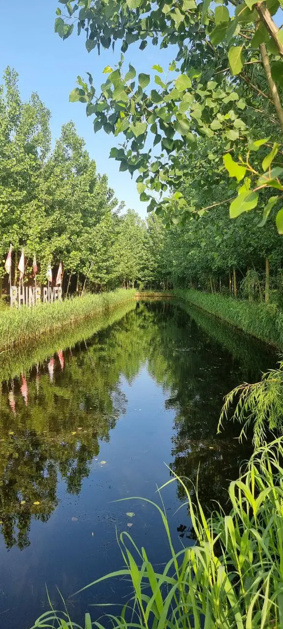 یک تصمیم بزرگ برای زندگی بهتر