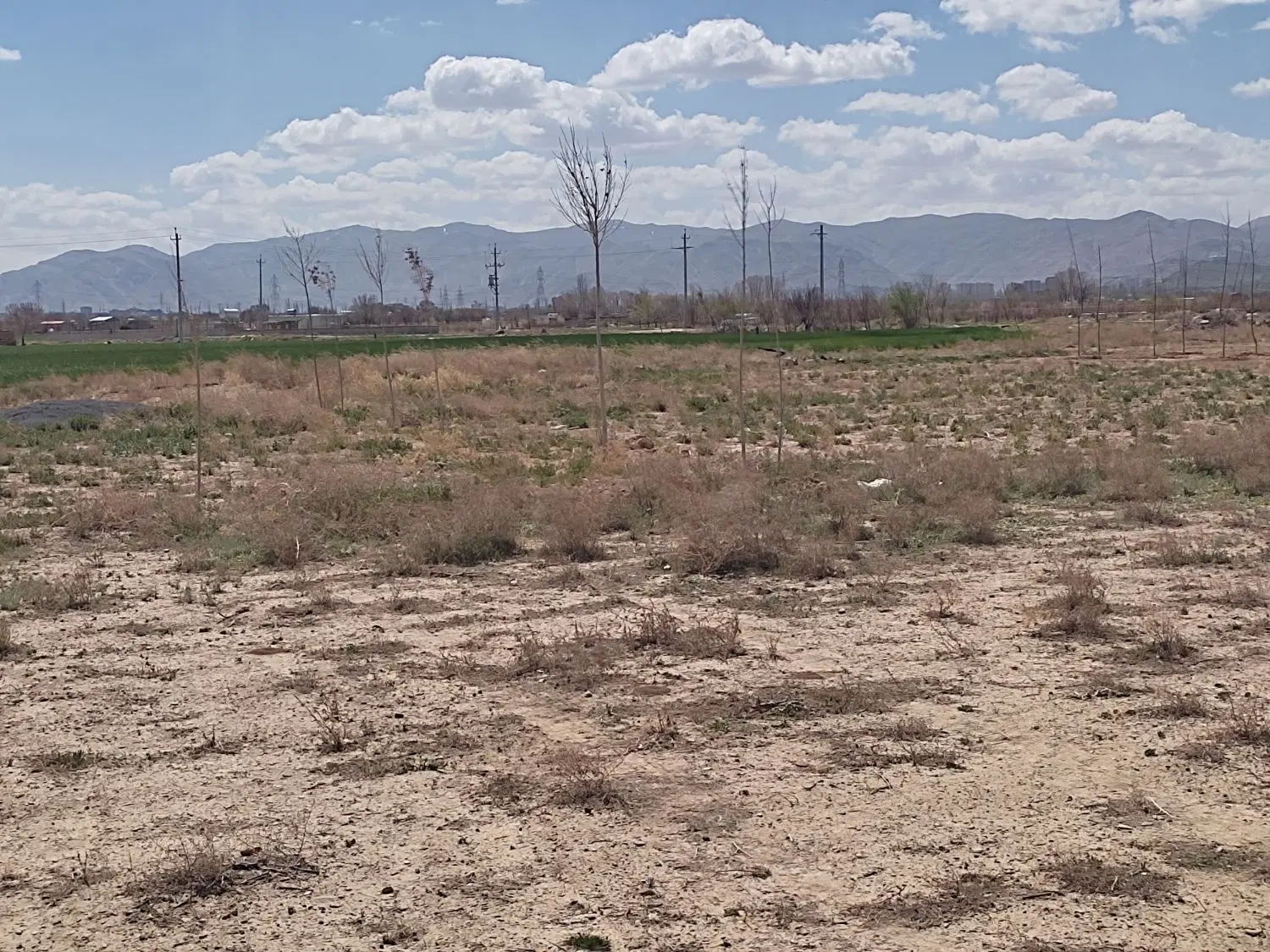 زمین باغی