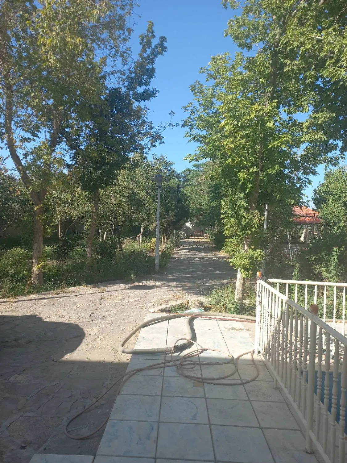 باغ ویلا