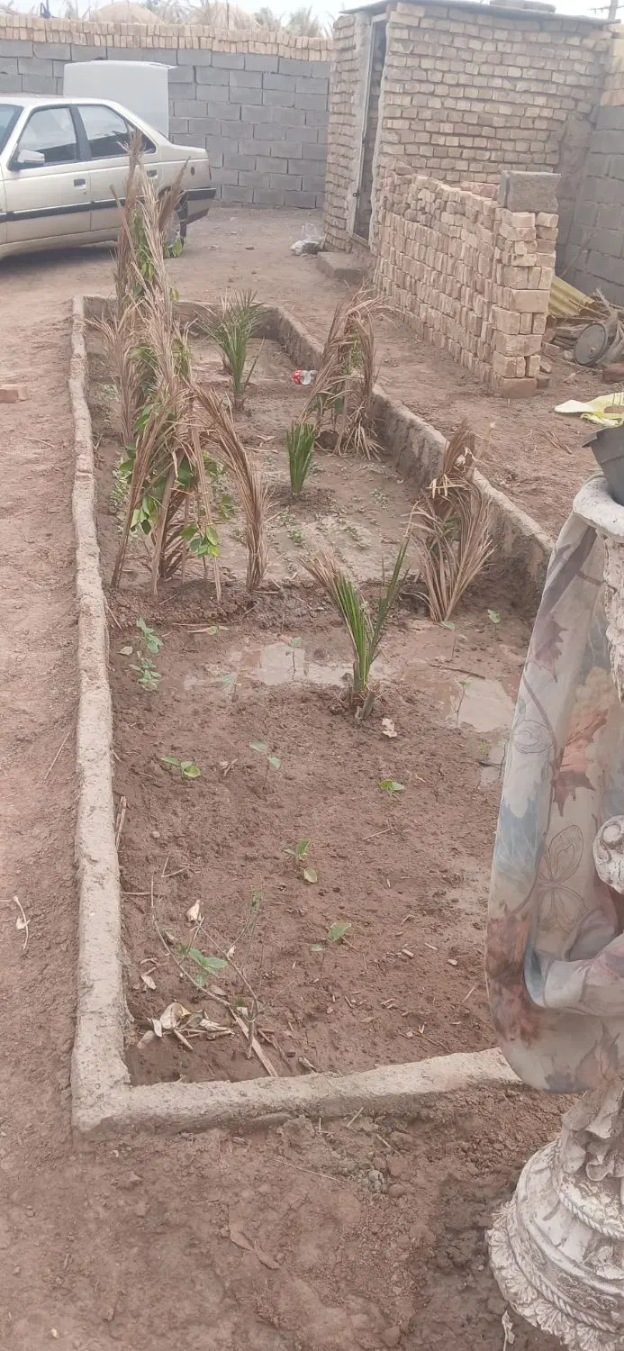 فروش ملک درشهداد