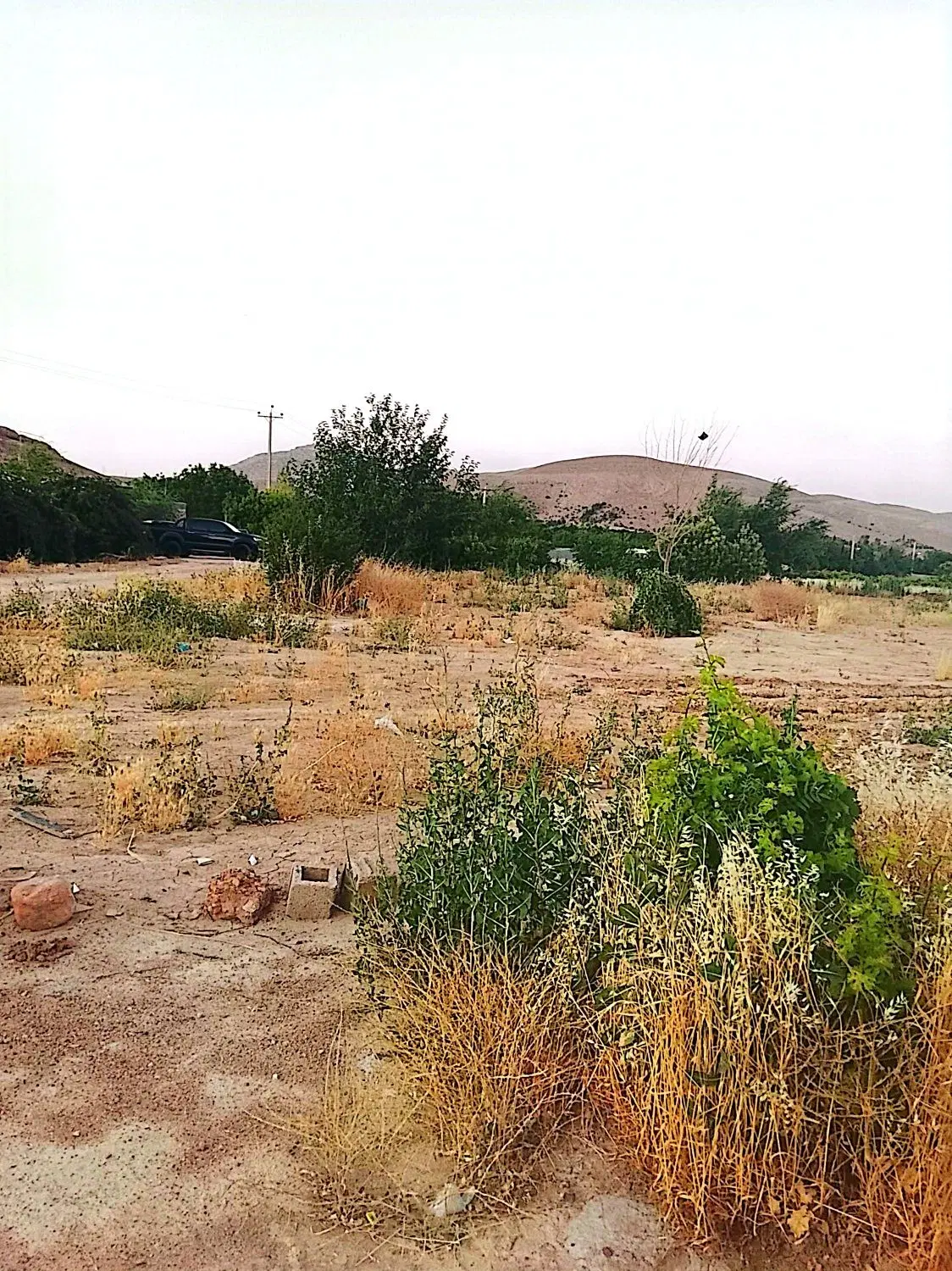 زمین ملکی کاربری ذخیره در طرح تفصیلی تک برگ سند