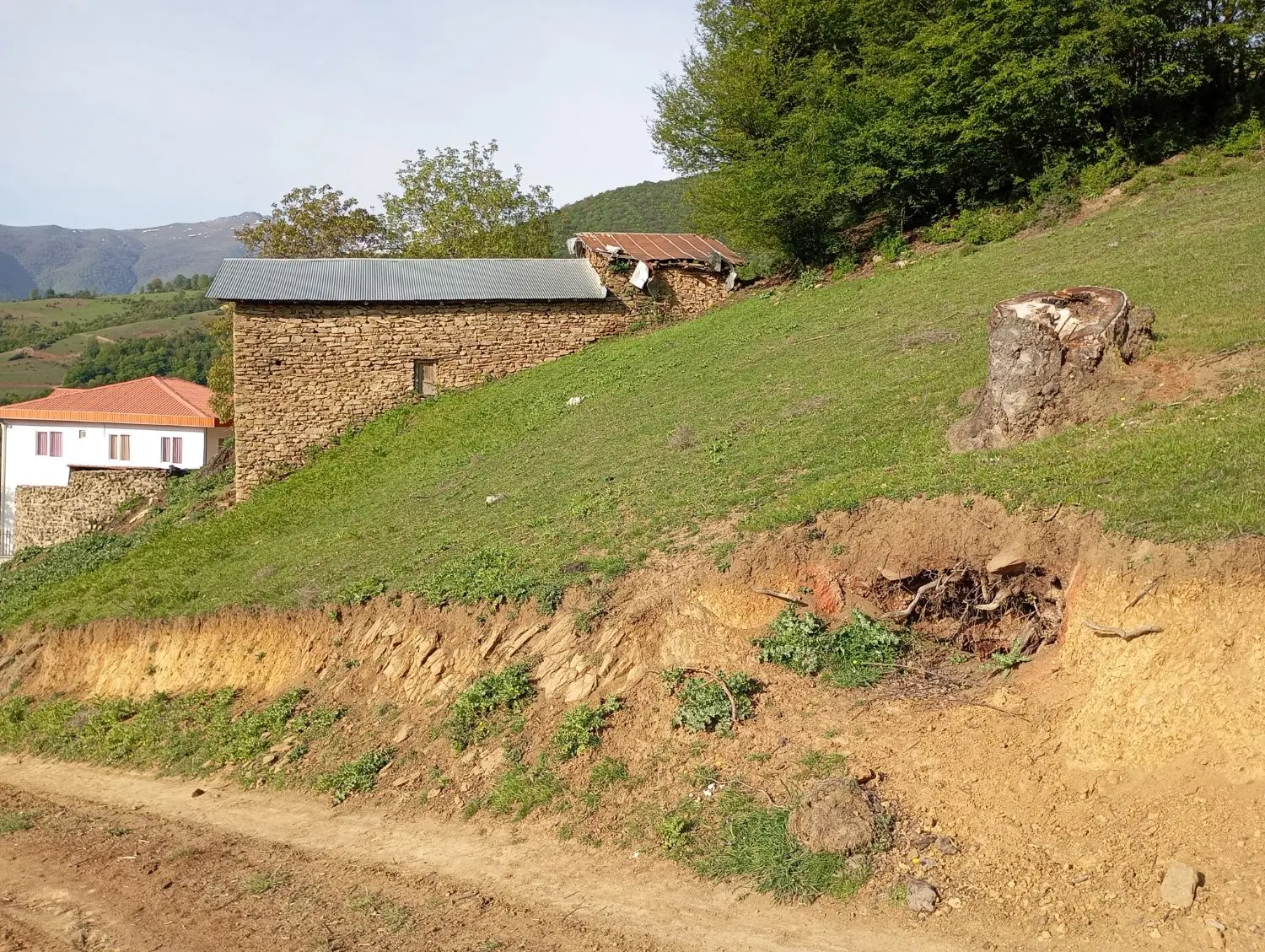 فروش زمین مرزن آباد روستای آغوزداربن
