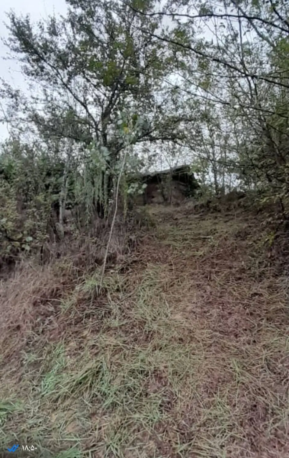 زمین روستایی فیدره پایین