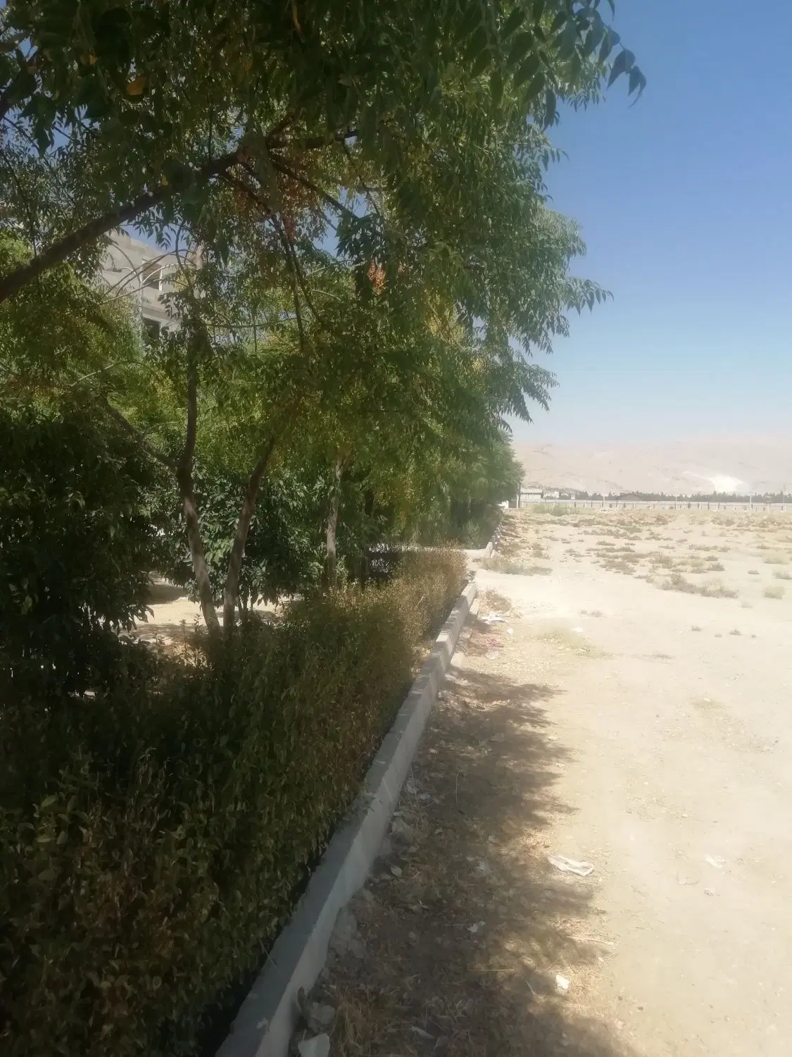 زمین 98 متری
