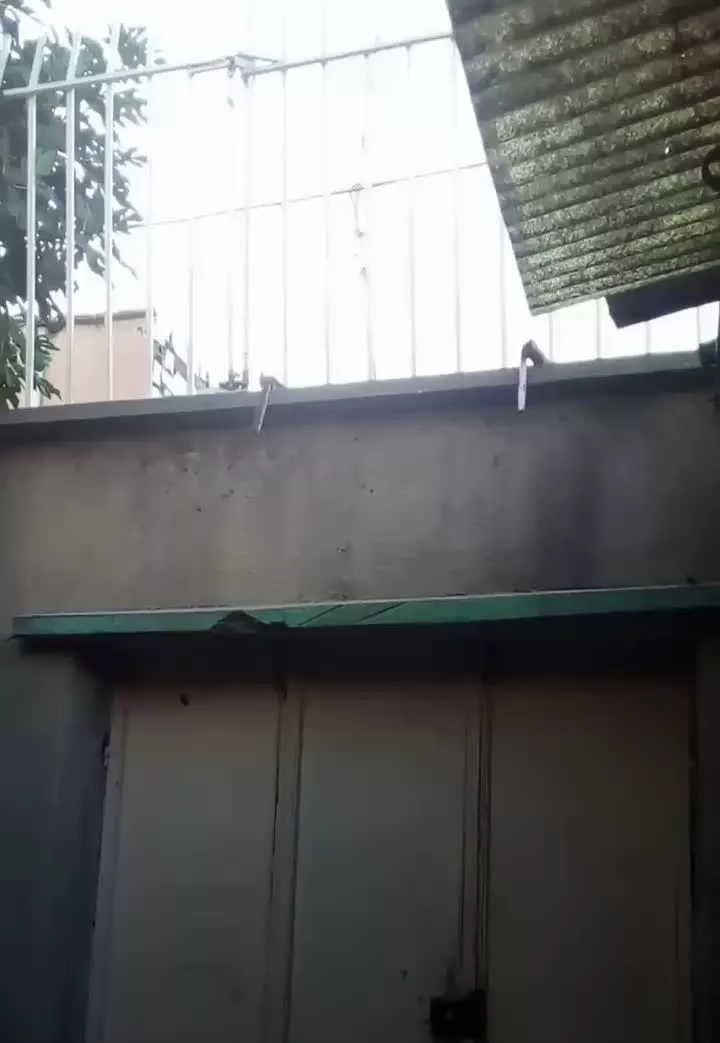 اجاره ویلایی ۱۰۰ متری دوبر نقلیه