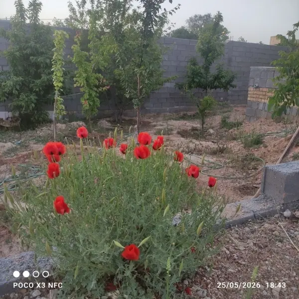 فروش خانه طبقه هم کف از دوطبقه
