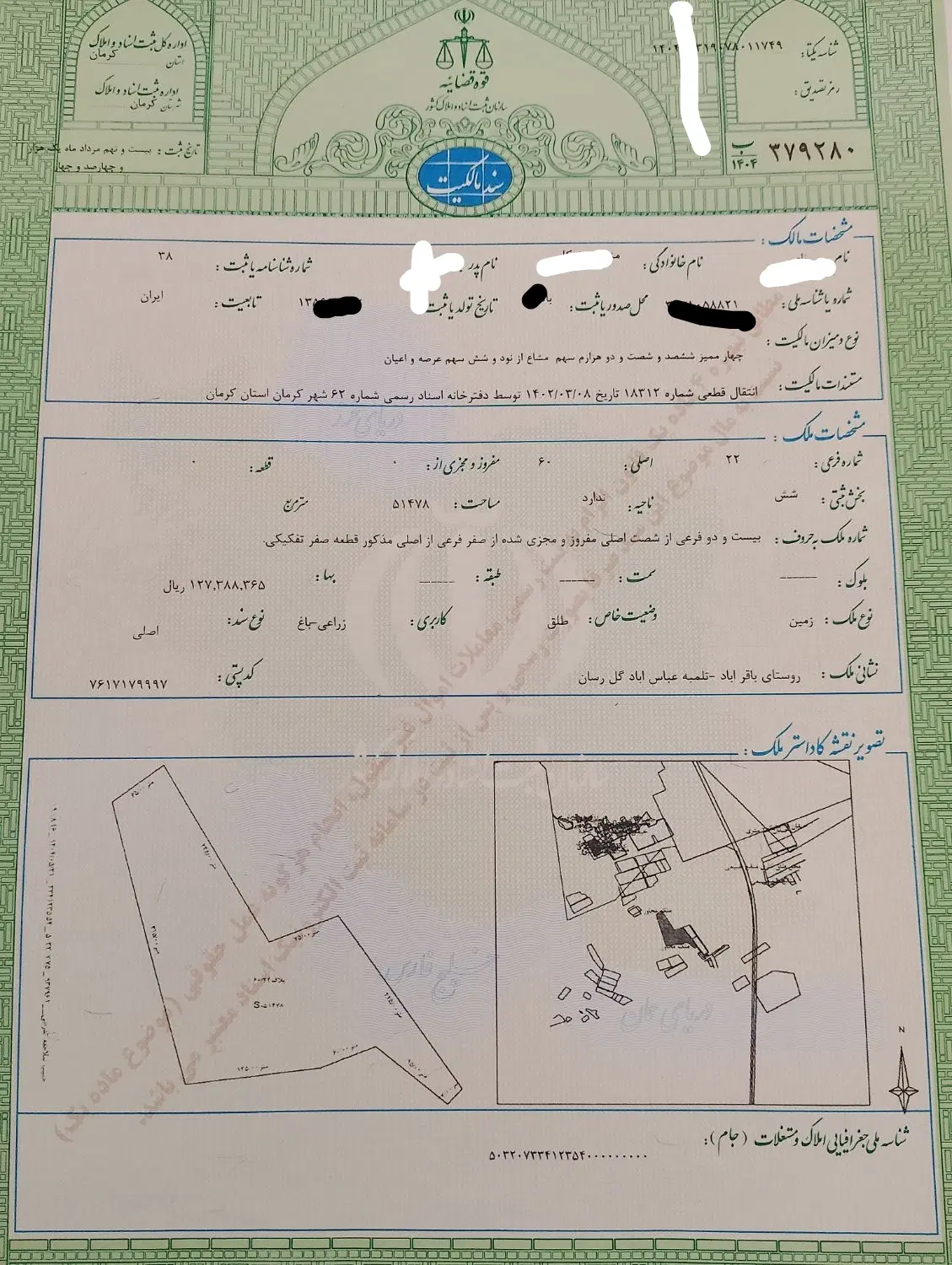 صد قصب زمین سندار کشاورزی باقر آباد کرمان
