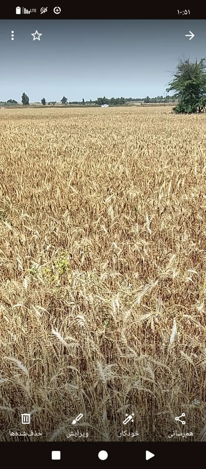 اجاره زمین کشاورزی